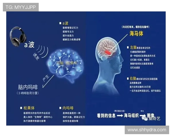 专访周静：探寻足球成功背后的秘密与策略