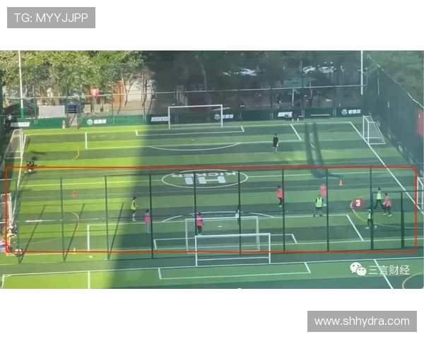 南京飞盘队进攻战术解析与策略探讨全面解读