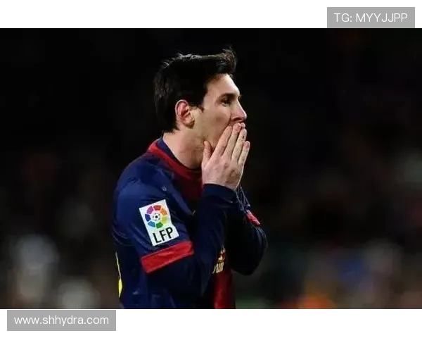 塞尔与汉堡激战正酣比分结果揭晓引发热议